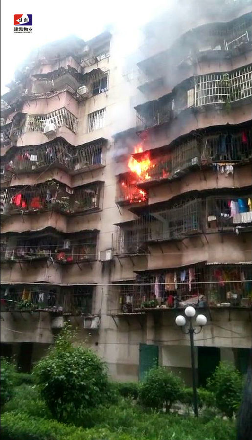 1571021048432121.jpg 2018-02-05-592e34371f-06e9-4d5a-ae87-7e10e8171f6f.jpg