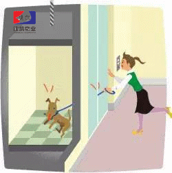 1571281563991147.gif 2017-01-03-240b3faccd-0d77-4003-ad78-cc27b2388f8b.gif