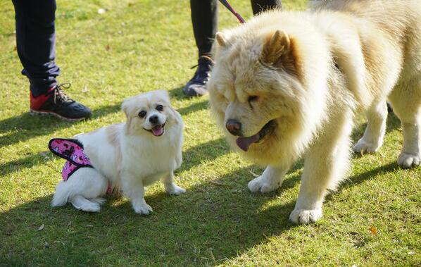 1571283985909703.jpg 2017-04-17-10fe87b072-7821-4a3d-aac7-85183779da98.jpg