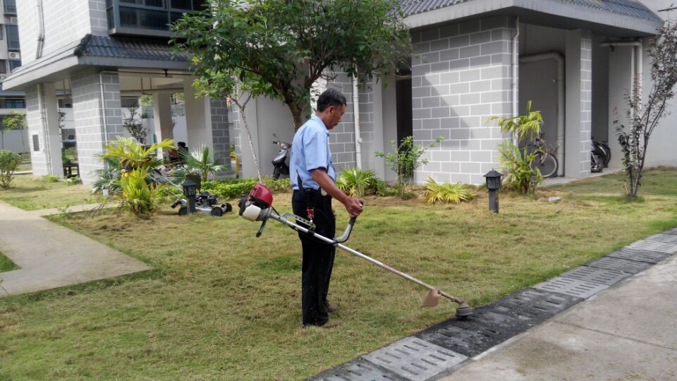 1571368310753872.jpg 1571368310753872.jpg