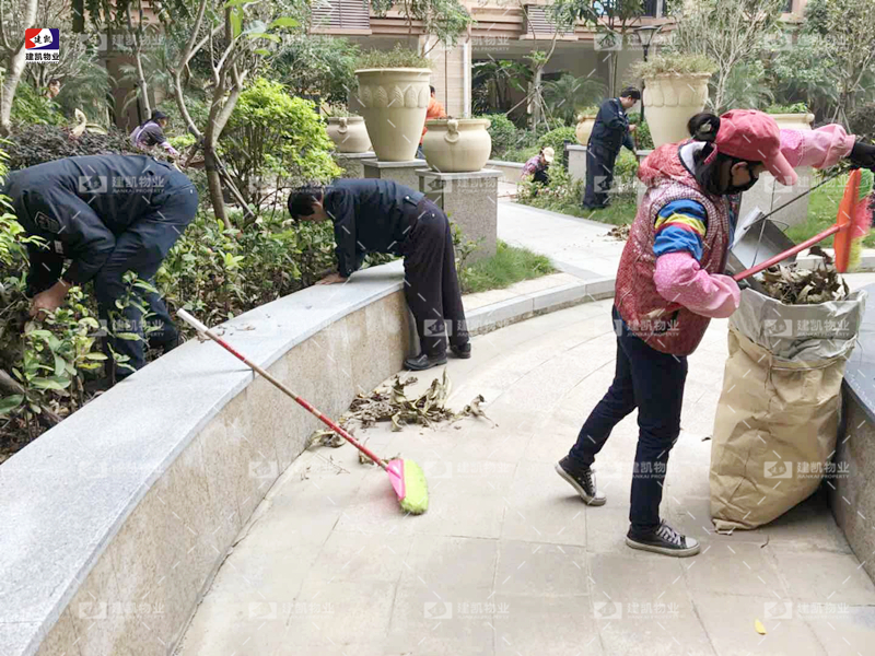 1571384824116136.jpg 1571384824116136.jpg