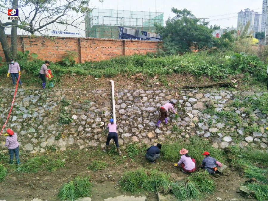 1571384879456566.jpg 1571384879456566.jpg