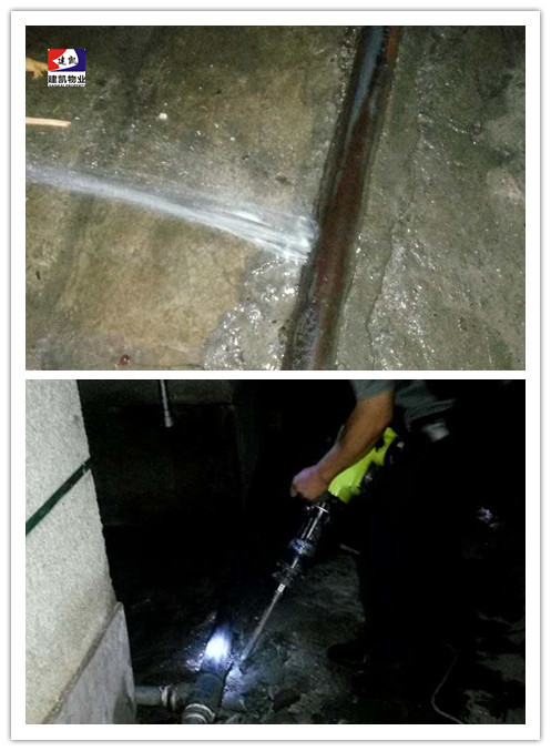 1571391657113312.jpg 2017-03-21-549e938ce6-db8f-4027-9633-dd5038f84326.jpg