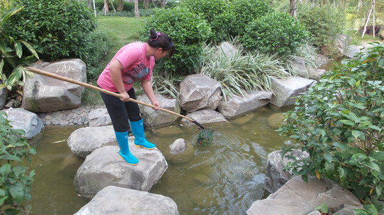 1571623016189675.jpg 2013-11-04-259dae7313-7d9e-47b9-bc7e-c222b2f8f826.jpg