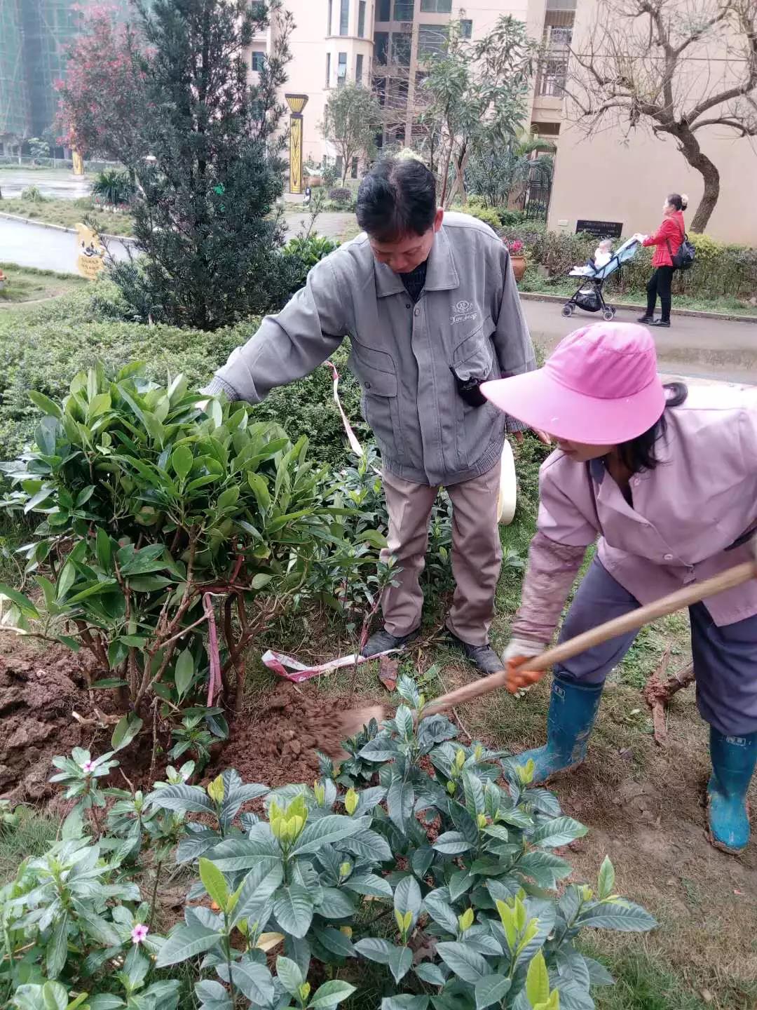 1574217054259498.jpg 微信图片_20191120101350.jpg