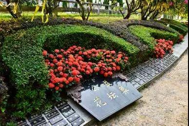 1574235316115943.jpg 微信图片_20191120153348.jpg