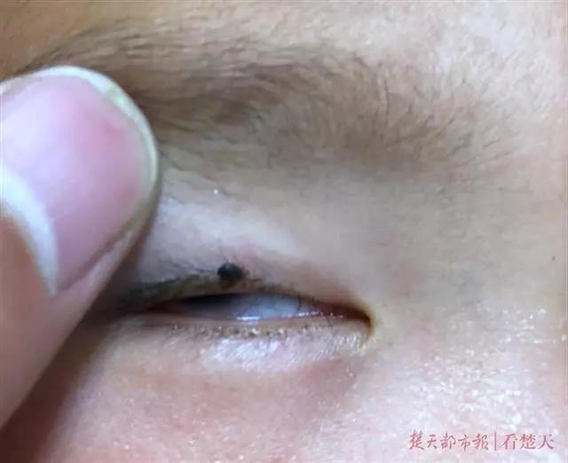 1574302559105816.jpg 微信图片_20191121101354.jpg