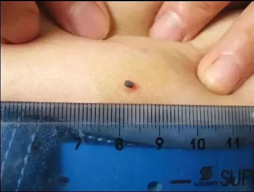 1574302608164914.jpg 微信图片_20191121101358.jpg