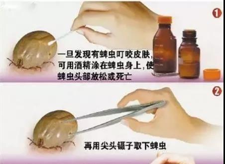 1574302651151840.jpg 微信图片_20191121101403.jpg