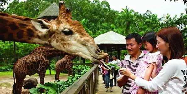 1574308296872937.jpg 微信图片_20191121115002.jpg