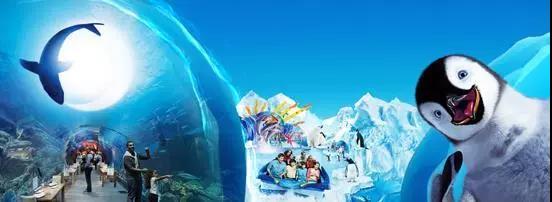 1574308304602749.jpg 微信图片_20191121115004.jpg