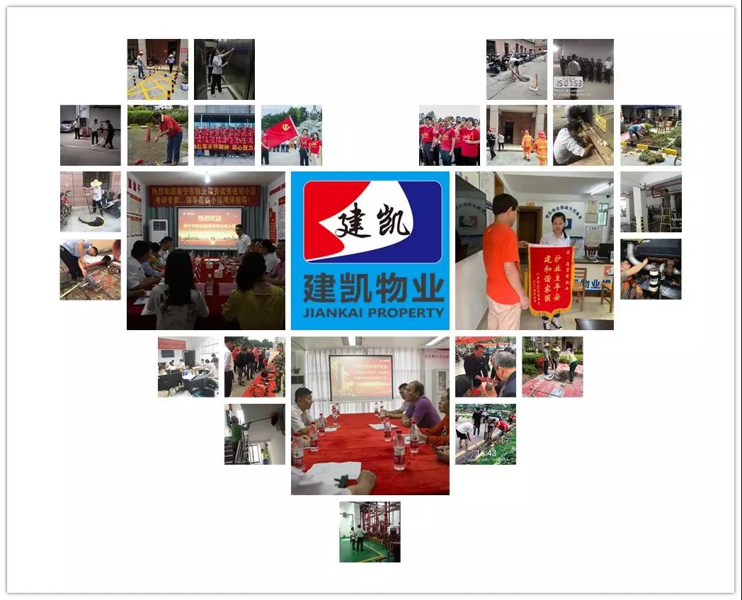 1574386045705900.jpg 1574386045705900.jpg