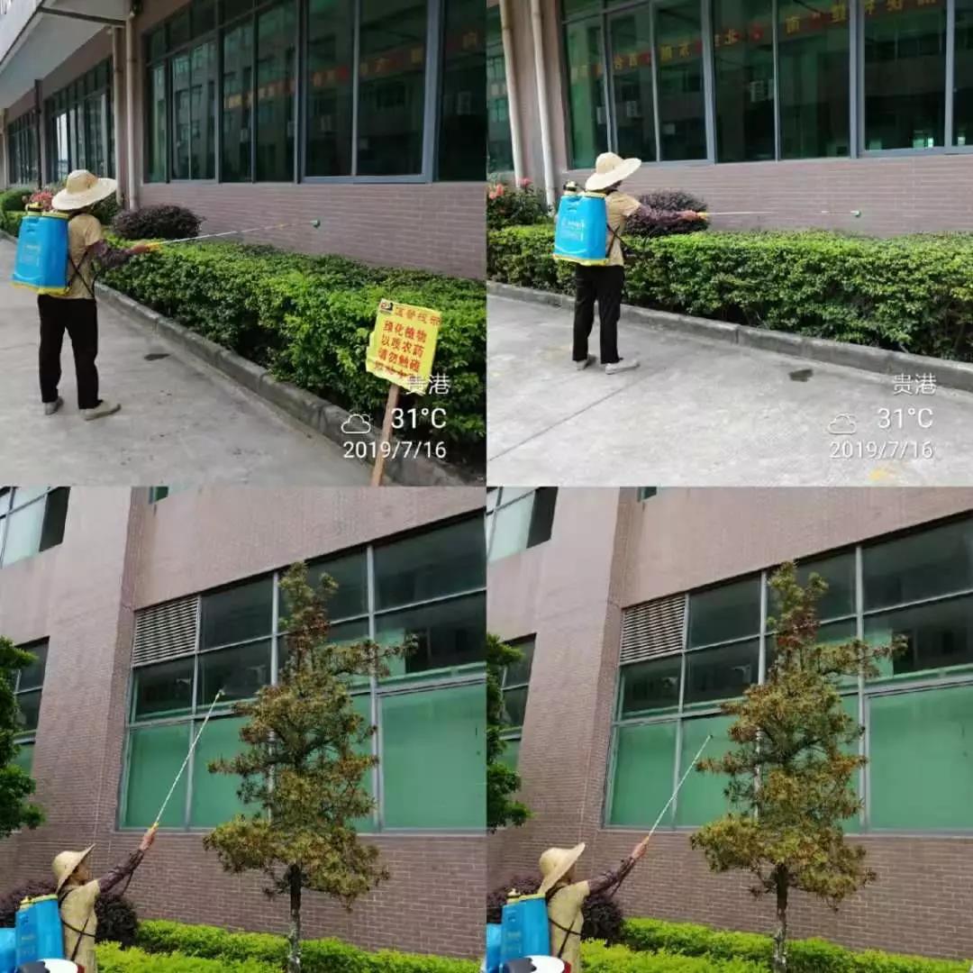 1574386249166286.jpg 1574386249166286.jpg