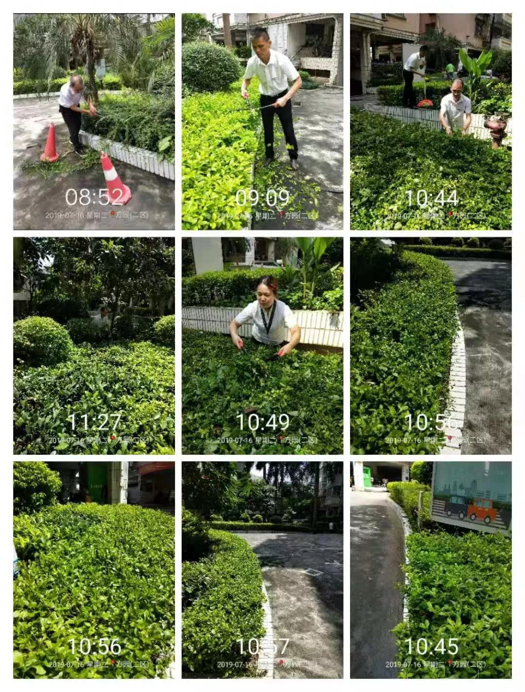 1574386290204190.jpg 1574386290204190.jpg