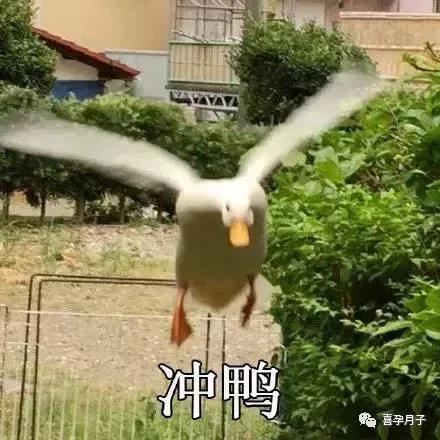 1574386931989530.jpg 微信图片_20191122093857.jpg