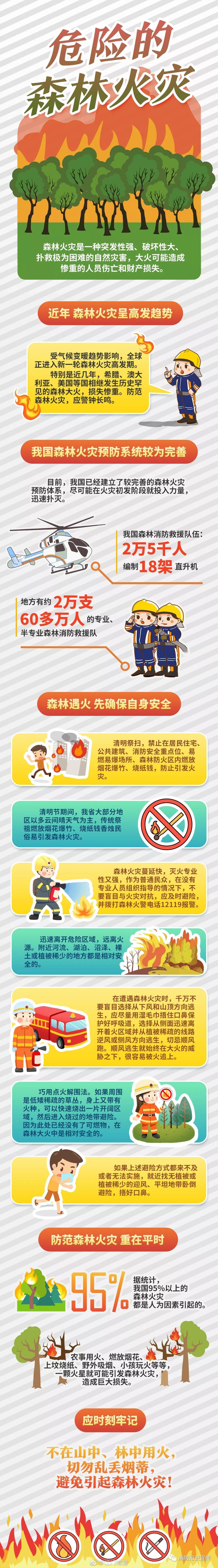 1574402999142975.jpg 1574402999142975.jpg