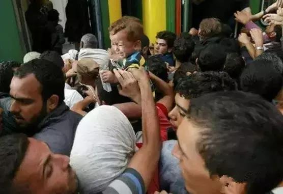 1574407413142649.jpg 微信图片_20191122150725.jpg