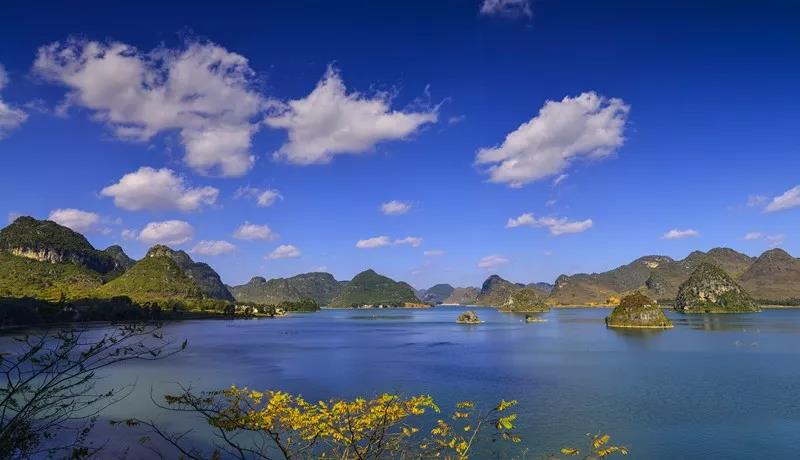 1574412039853883.jpg 微信图片_20191122162133.jpg