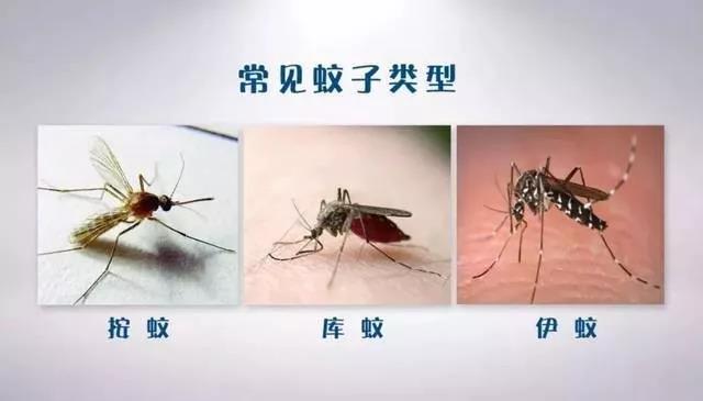 1574650352962876.jpg 微信图片_20191125104957.jpg