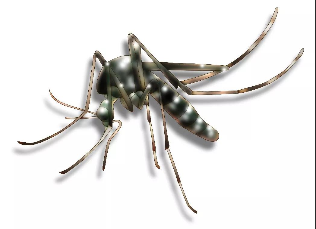 1574650798191028.jpg 1574650798191028.jpg