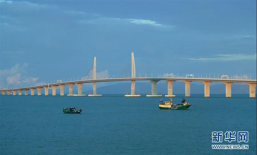 1604382672190419.jpg 微信图片_20201103134510.jpg