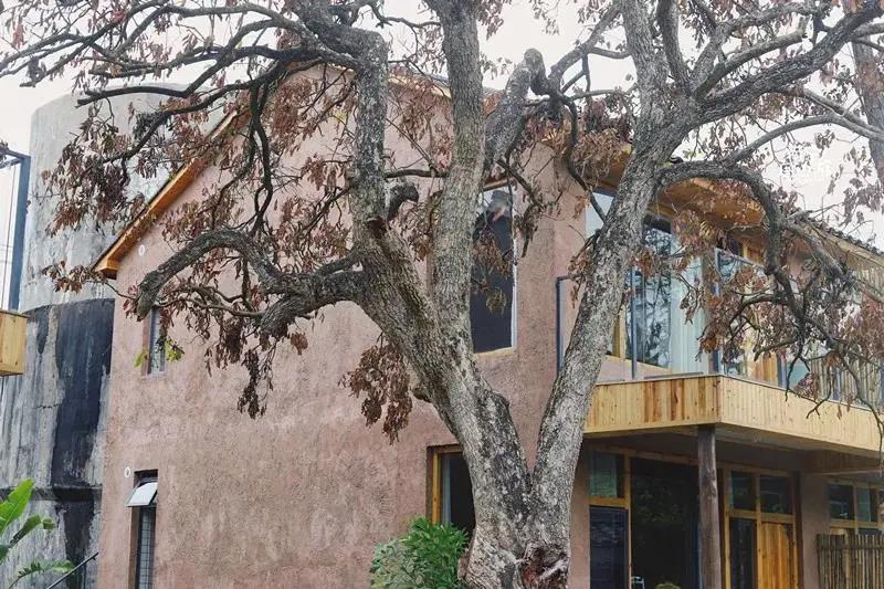 1618363783166072.jpg 1618363783166072.jpg