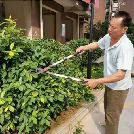 1619601682112375.png 1619601682112375.png