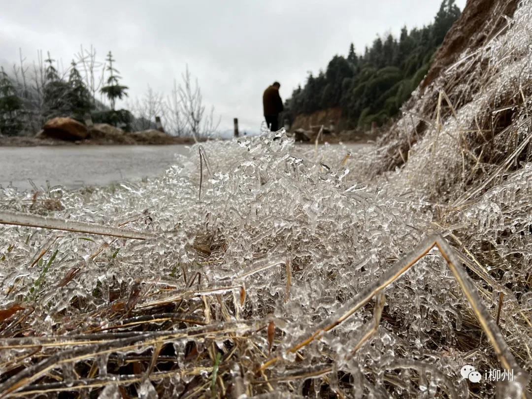 1644541746169084.jpg 1644541746169084.jpg