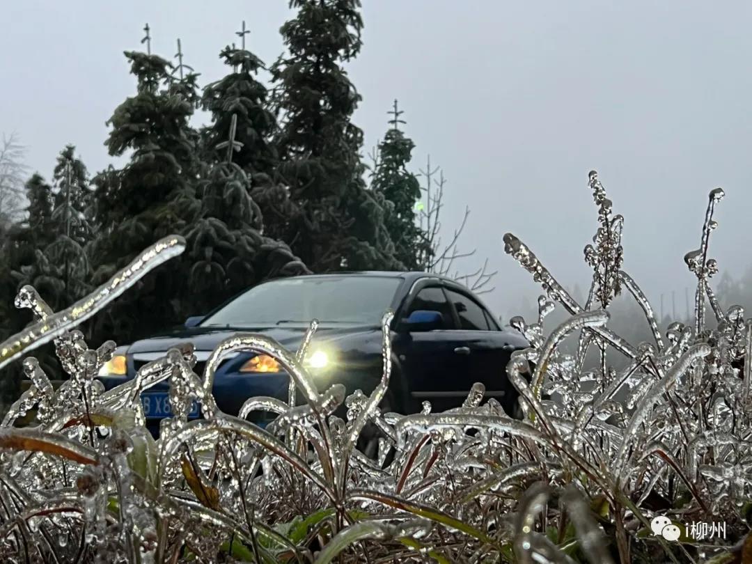 1644541746210474.jpg 1644541746210474.jpg