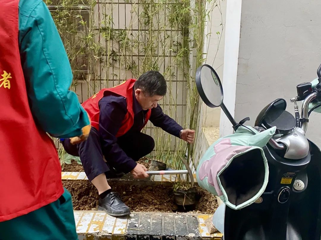 1647309424115770.jpg 1647309424115770.jpg