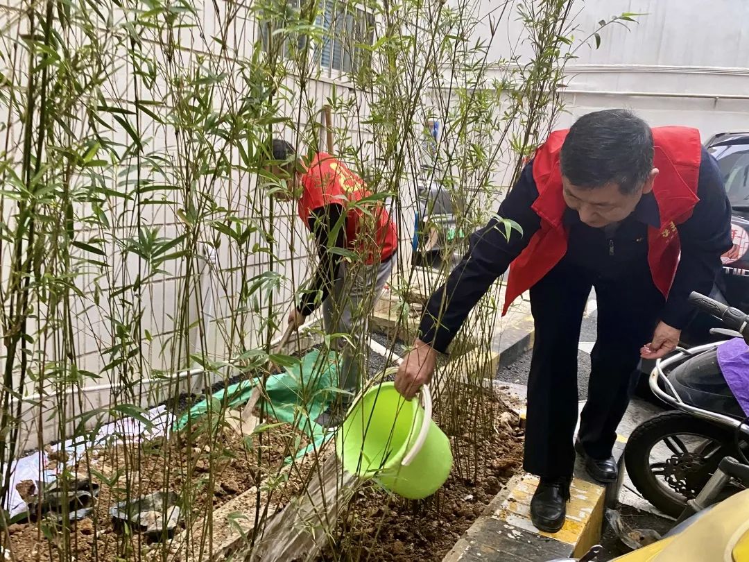 1647309424119146.jpg 1647309424119146.jpg