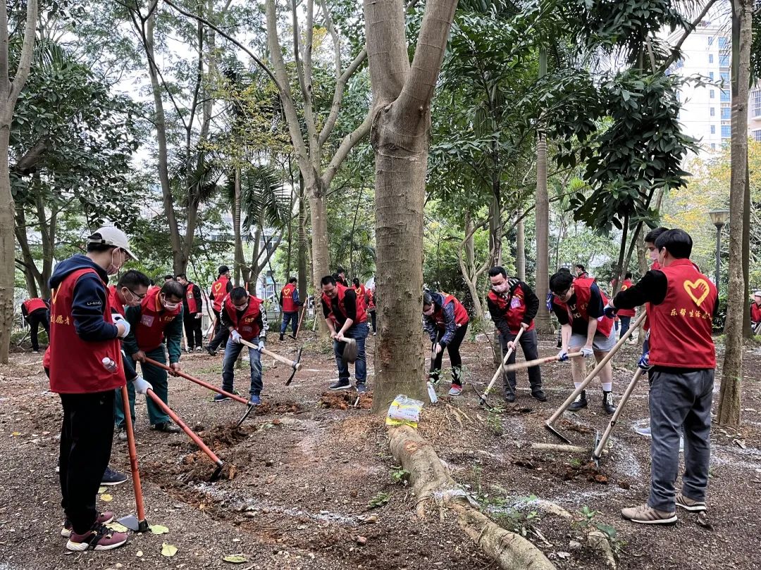 1647309464629011.jpg 1647309464629011.jpg