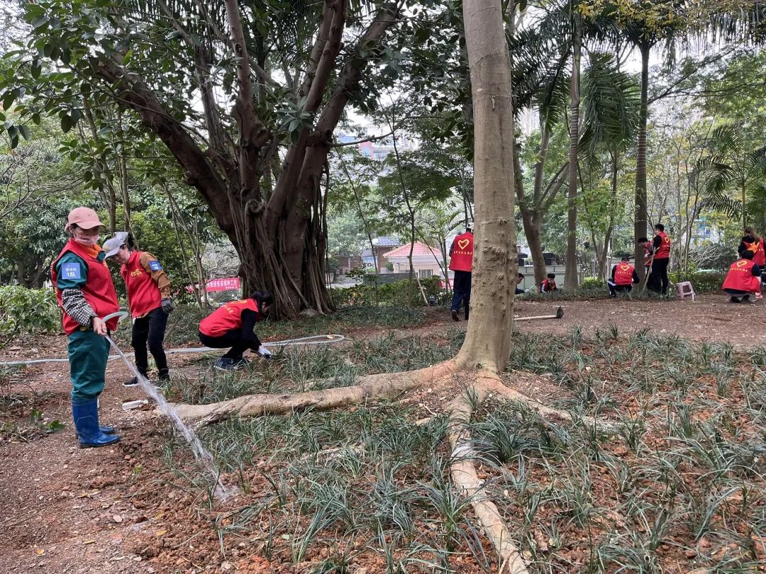 1647309465165378.jpg 1647309465165378.jpg