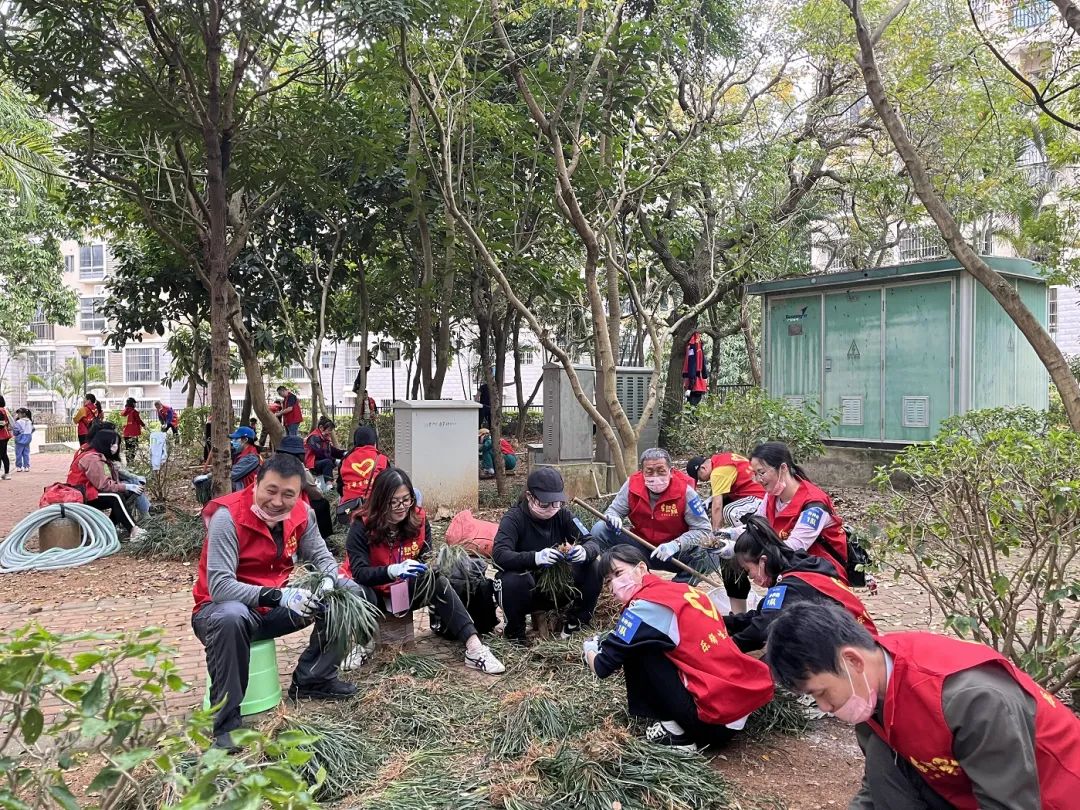 1647309465632159.jpg 1647309465632159.jpg