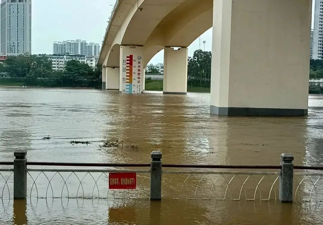 1656560328129999.jpg 1656560328129999.jpg