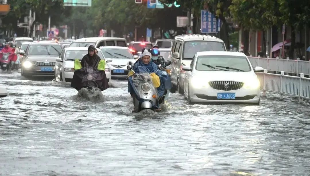 1656560392110024.jpg 1656560392110024.jpg