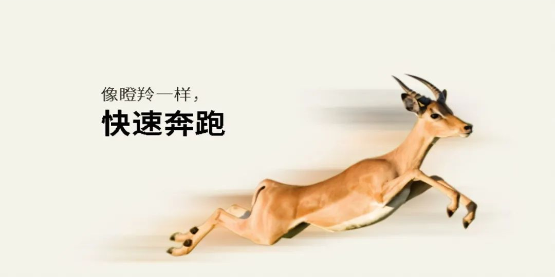 精品国产91乱码一区二区三区